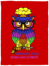 Load image into Gallery viewer, Image
